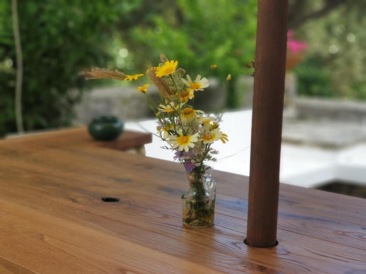 הוילה סנטה צזריה טרמה L'Antico Ulivo מראה חיצוני תמונה