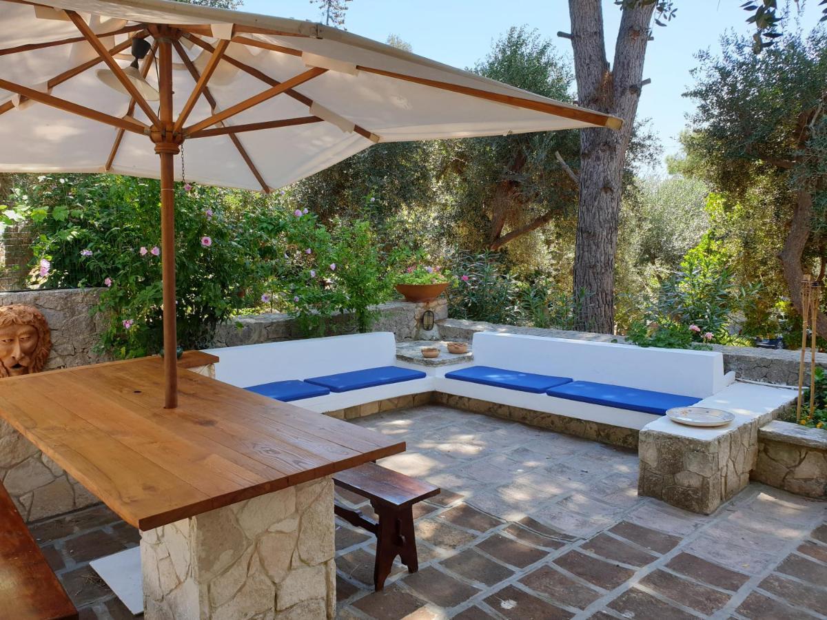 הוילה סנטה צזריה טרמה L'Antico Ulivo מראה חיצוני תמונה