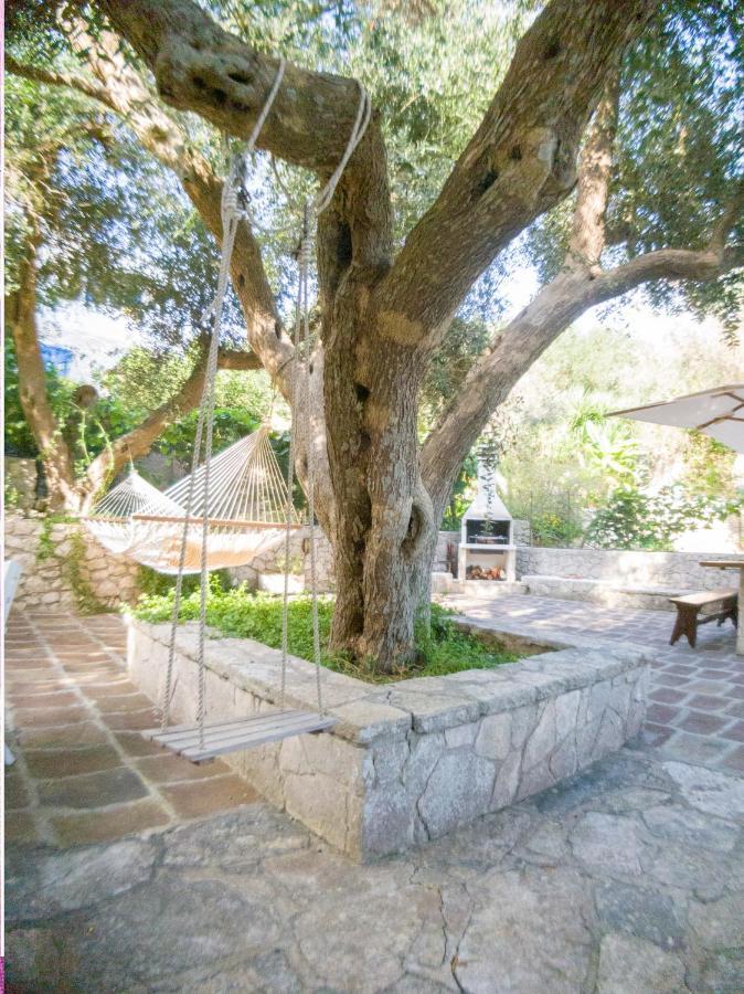 הוילה סנטה צזריה טרמה L'Antico Ulivo מראה חיצוני תמונה