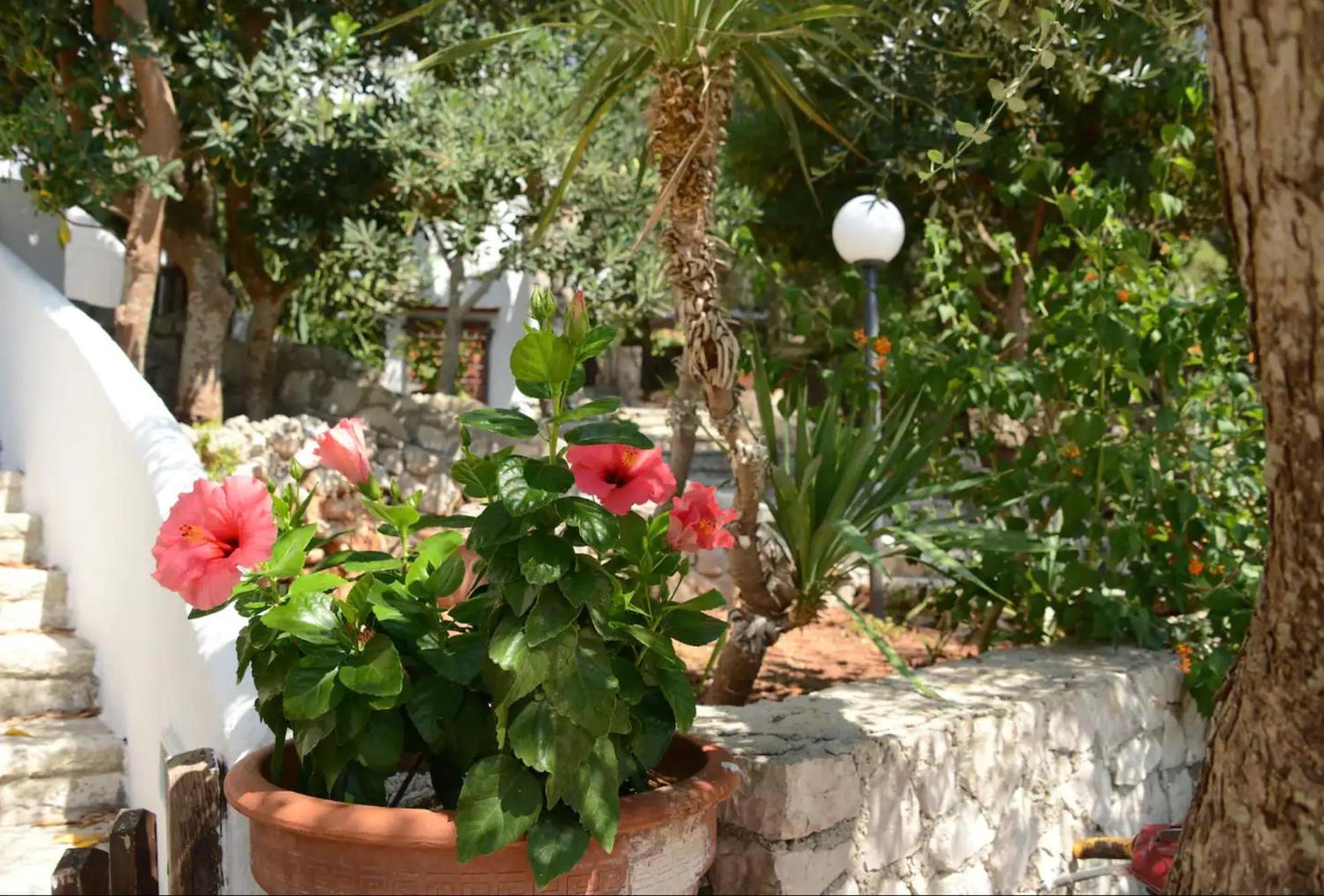 הוילה סנטה צזריה טרמה L'Antico Ulivo מראה חיצוני תמונה