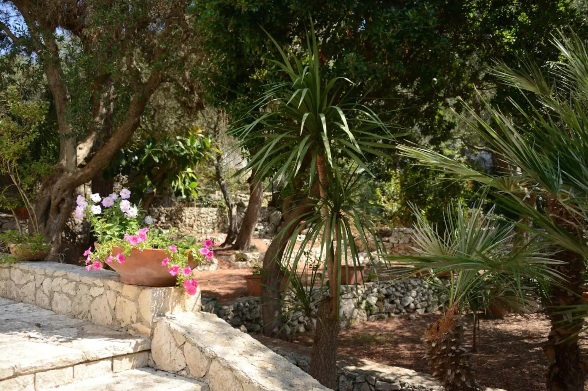 הוילה סנטה צזריה טרמה L'Antico Ulivo מראה חיצוני תמונה