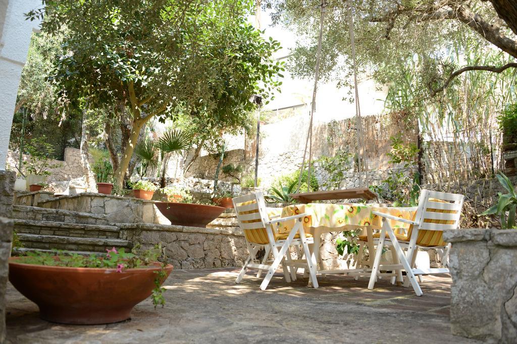 הוילה סנטה צזריה טרמה L'Antico Ulivo מראה חיצוני תמונה
